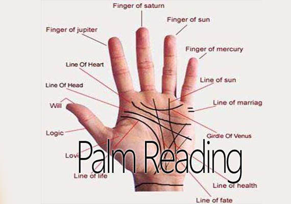 Palm Reading